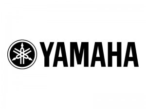 Yamaha STAGEPASSPKSTA