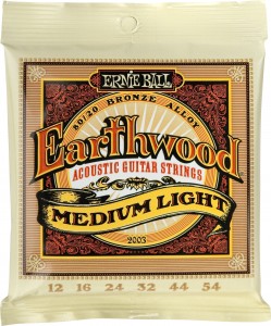 Ernie Ball Earthwood Medium Gauge